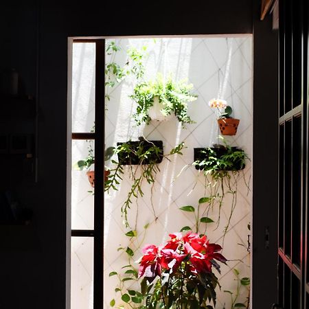 A-Maze House Appartement Hue Buitenkant foto